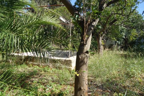 Terra a Casarano, Lecce, Casarano - € 120.000 | Ref: CS-120 - foto 6