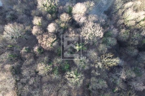 Terra a Barghe, Brescia, Barghe - € 60.000 | Ref: 33091082-002 - foto 6