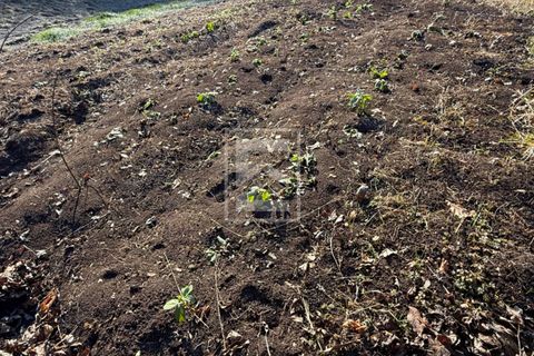 Terra a Barghe, Brescia, Barghe - € 60.000 | Ref: 33091082-002 - foto 7
