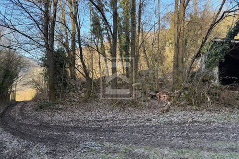Terra a Barghe, Brescia, Barghe - € 60.000 | Ref: 33091082-002 - foto 11