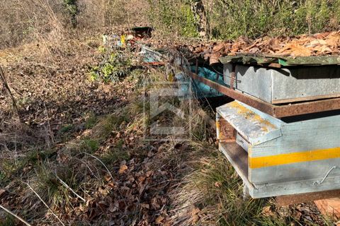 Terra a Barghe, Brescia, Barghe - € 60.000 | Ref: 33091082-002 - foto 18