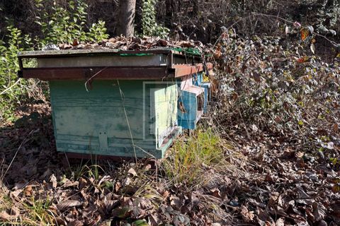 Terra a Barghe, Brescia, Barghe - € 60.000 | Ref: 33091082-002 - foto 20