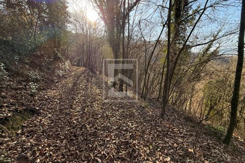 Terra a Barghe, Brescia, Barghe - € 60.000 | Ref: 33091082-002 - foto 30