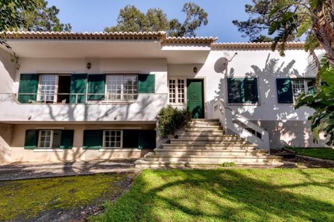 Farm i Cascais, Lisbon, Cascais - € 5.950.000 | Ref: KWPT-028888 - foto 28
