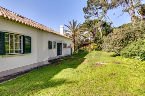 Farm i Cascais, Lisbon, Cascais - € 5.950.000 | Ref: KWPT-028888 - foto 33