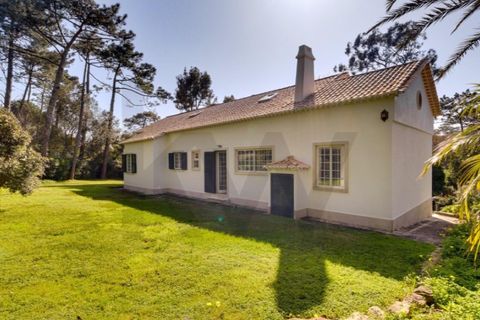 Farm i Cascais, Lisbon, Cascais - € 5.950.000 | Ref: KWPT-028888 - foto 34