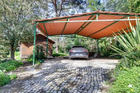 Farm i Cascais, Lisbon, Cascais - € 5.950.000 | Ref: KWPT-028888 - foto 36