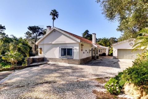 Farm i Cascais, Lisbon, Cascais - € 5.950.000 | Ref: KWPT-028888 - foto 37