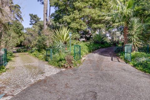 Farm i Cascais, Lisbon, Cascais - € 5.950.000 | Ref: KWPT-028888 - foto 38