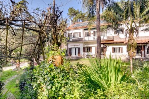 Farm i Cascais, Lisbon, Cascais - € 5.950.000 | Ref: KWPT-028888 - foto 41