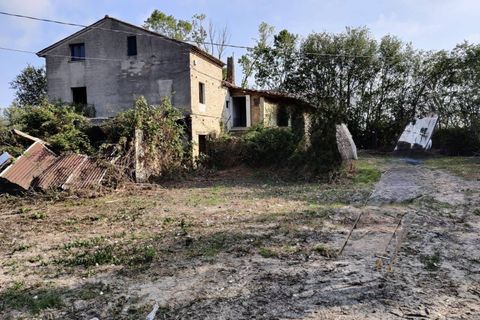 Villa a Sant'Elpidio a Mare, Fermo, Sant'Elpidio a Mare - € 115.000 | Ref: AP76 - foto 4