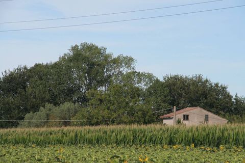 Villa a Sant'Elpidio a Mare, Fermo, Sant'Elpidio a Mare - € 115.000 | Ref: AP76 - foto 6