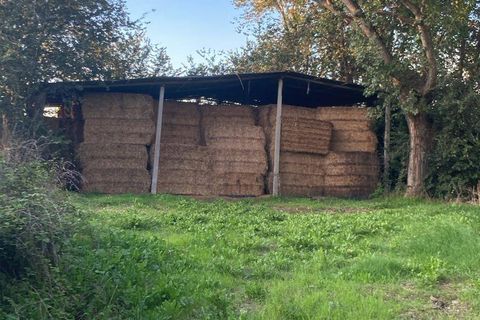 Villa a Sant'Elpidio a Mare, Fermo, Sant'Elpidio a Mare - € 115.000 | Ref: AP76 - foto 8