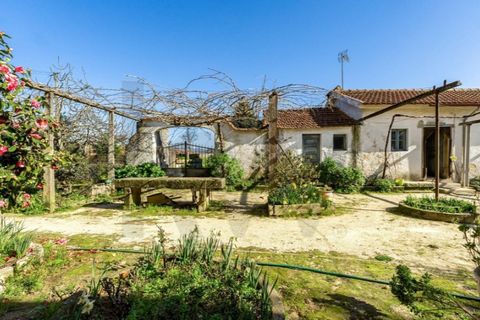 Villa a Barro, Aveiro, Barro - € 890.000 | Ref: KWPT-028207 - foto 35