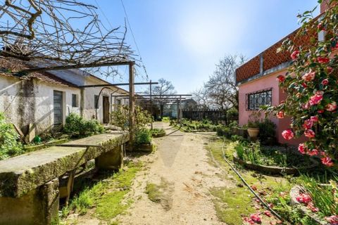 Villa a Barro, Aveiro, Barro - € 890.000 | Ref: KWPT-028207 - foto 36
