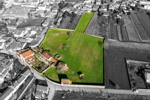 Villa i Barro, Aveiro, Barro - € 870 000 | Ref: KWPT-028207 - foto 5