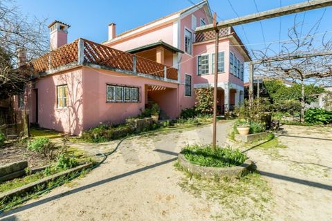 Villa i Barro, Aveiro, Barro - € 870 000 | Ref: KWPT-028207 - foto 33