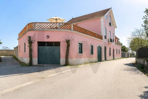 Villa i Barro, Aveiro, Barro - € 870 000 | Ref: KWPT-028207 - foto 39