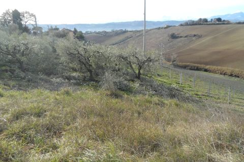 Villa a Monteprandone, Ascoli Piceno, Monteprandone - € 350.000 | Ref: cas501 - foto 3