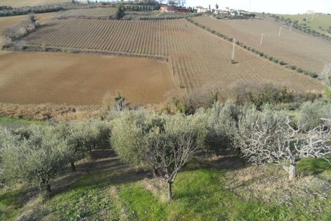 Villa a Monteprandone, Ascoli Piceno, Monteprandone - € 350.000 | Ref: cas501 - foto 4