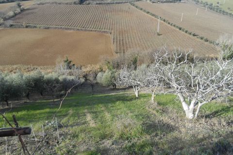 Villa a Monteprandone, Ascoli Piceno, Monteprandone - € 350.000 | Ref: cas501 - foto 19