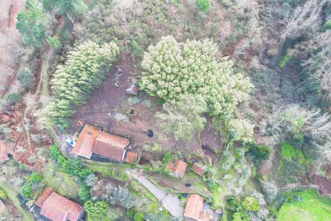 Villa i Amarante, Porto, Amarante - € 175.000 | Ref: 20261007GR/12937 - foto 7