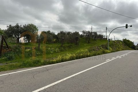 Helårsgrund i Beja, Beja, Beja - € 30.000 | Ref: BYS-1126 - foto 6