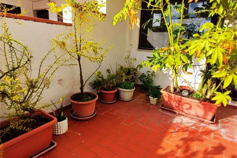 Villa a Cetraro, Cosenza, Cetraro - € 410.000 | Ref: 1491 - foto 50