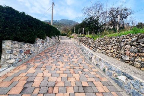 Villa i Cetraro, Cosenza, Cetraro - € 265.000 | Ref: 1494 - foto 7