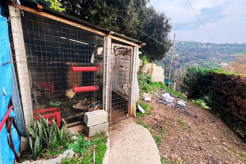 Villa i Cetraro, Cosenza, Cetraro - € 265.000 | Ref: 1494 - foto 14