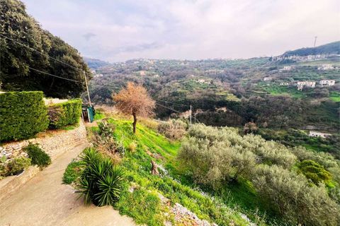 Villa i Cetraro, Cosenza, Cetraro - € 265.000 | Ref: 1494 - foto 21