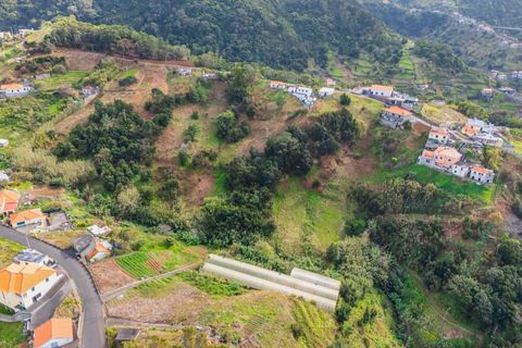 Helårsgrund i Machico, Madeira, Machico - € 250.000 | Ref: KWPT-028595 - foto 17