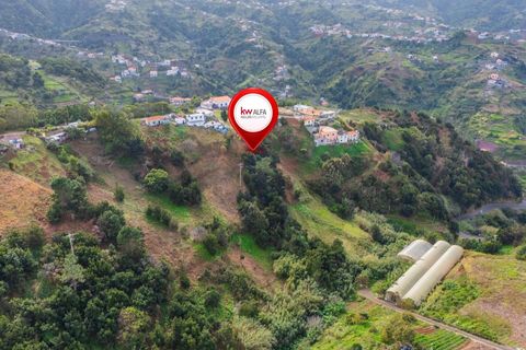 Helårsgrund i Machico, Madeira, Machico - € 250.000 | Ref: KWPT-028595 - foto 18