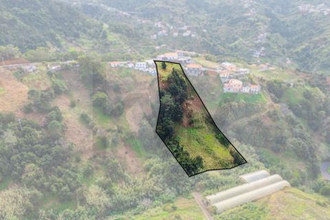 Helårsgrund i Machico, Madeira, Machico - € 250.000 | Ref: KWPT-028595 - foto 20