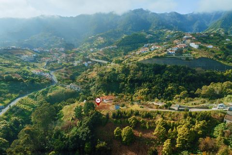 Helårsgrund i Machico, Madeira, Machico - € 335.000 | Ref: KWPT-027896 - foto 13