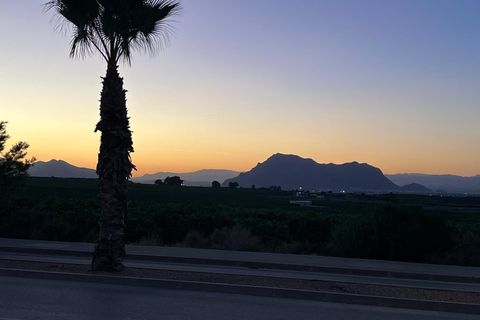 Byhus i Algorfa, Alicante, Algorfa - € 249.500 | Ref: MM-43912 - foto 30