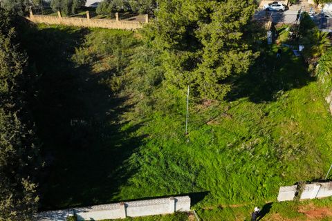 Helårsgrund i Marbella, Malaga, Marbella - € 4.320.000 | Ref: MAR-4536 - foto 5