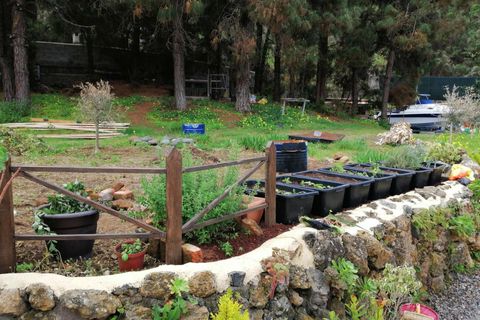 Herregård i Icod, Tenerife, Icod - € 300 000 | Ref: 0067-04617/2961 - foto 20