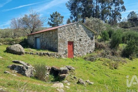 Byhus i Celorico da Beira, Guarda, Celorico da Beira - € 74.500 | Ref: 93091 - foto 1