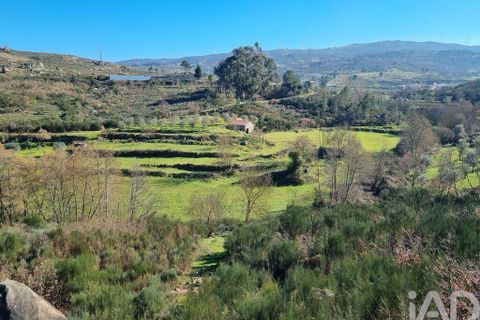 Byhus i Celorico da Beira, Guarda, Celorico da Beira - € 74.500 | Ref: 93091 - foto 2