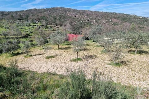 Byhus i Celorico da Beira, Guarda, Celorico da Beira - € 74.500 | Ref: 93091 - foto 3