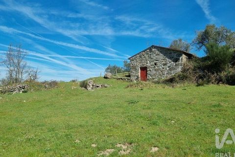 Byhus i Celorico da Beira, Guarda, Celorico da Beira - € 74.500 | Ref: 93091 - foto 4