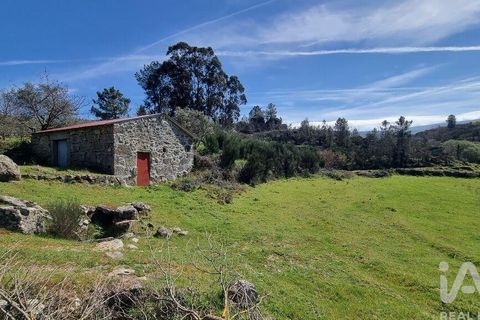 Byhus i Celorico da Beira, Guarda, Celorico da Beira - € 74.500 | Ref: 93091 - foto 5
