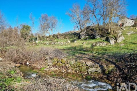 Byhus i Celorico da Beira, Guarda, Celorico da Beira - € 74.500 | Ref: 93091 - foto 6