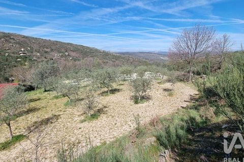 Byhus i Celorico da Beira, Guarda, Celorico da Beira - € 74.500 | Ref: 93091 - foto 8