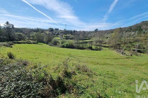 Byhus i Celorico da Beira, Guarda, Celorico da Beira - € 74.500 | Ref: 93091 - foto 10