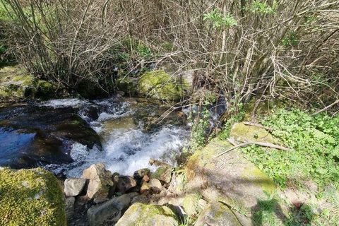 Byhus i Celorico da Beira, Guarda, Celorico da Beira - € 74.500 | Ref: 93091 - foto 12