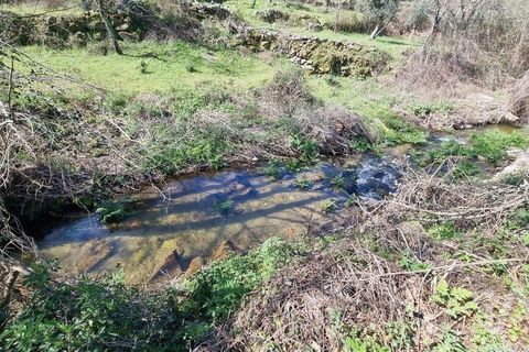Byhus i Celorico da Beira, Guarda, Celorico da Beira - € 74.500 | Ref: 93091 - foto 14