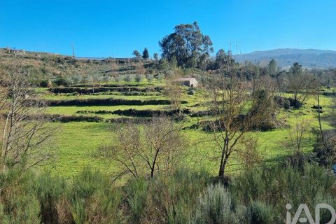 Byhus i Celorico da Beira, Guarda, Celorico da Beira - € 74.500 | Ref: 93091 - foto 15
