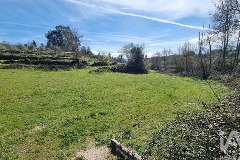 Byhus i Celorico da Beira, Guarda, Celorico da Beira - € 74.500 | Ref: 93091 - foto 17